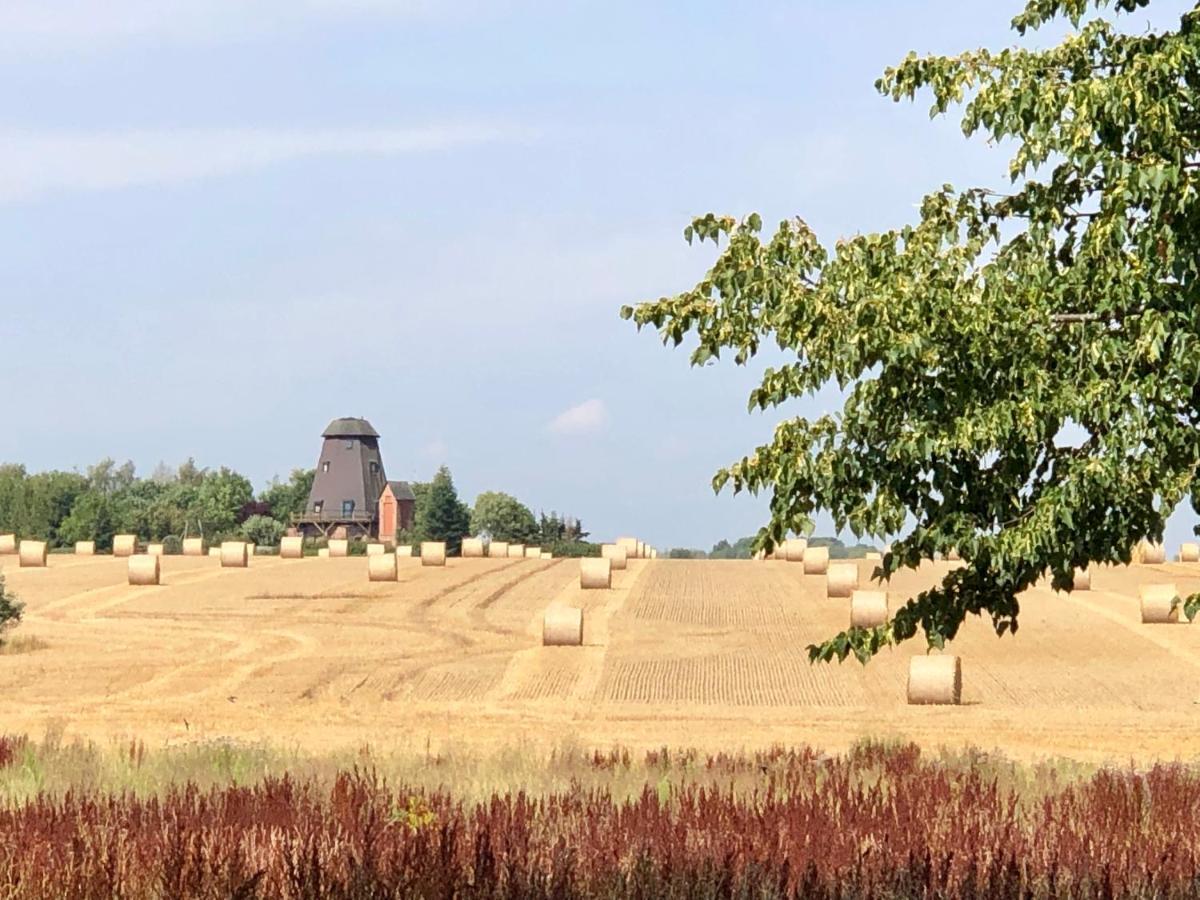 Es Gibt Nichts Zu Tun - Ostsee Naehe Usedom Spantekow Extérieur photo